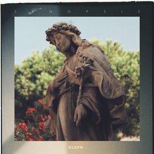 Image for 'Synopsis'