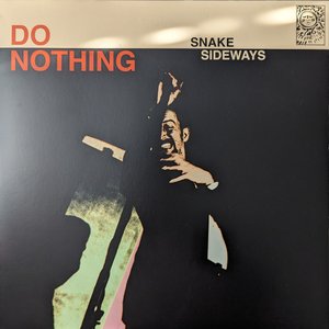 Image for 'Snake Sideways'