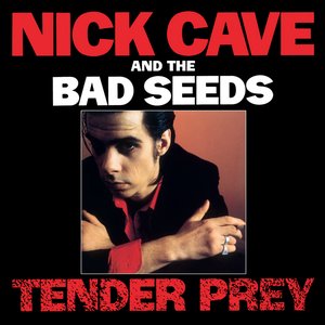 Image for 'Tender Prey'