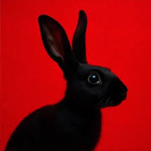 Image for 'RABBIT'