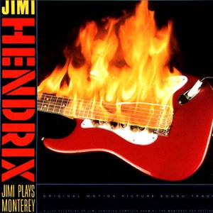 'Jimi Plays Monterey'の画像