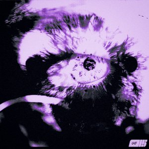 Image for 'as i do'