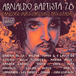 Изображение для 'Arnaldo Baptista 7.8 - Canções Inesquecíveis Revisitadas - Cobre'