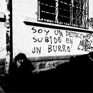 Image for 'Soy un detective subido en un burro'