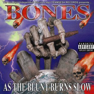 Image for 'AsTheBluntBurnsSlow'