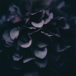 Image for 'Moments'