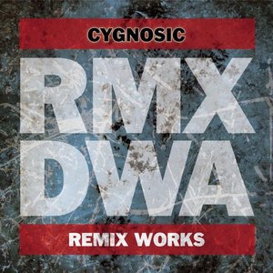 Image for 'D/W/A Remix Works'