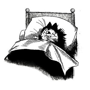 Image for 'rctcque'