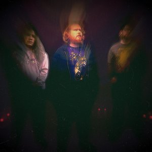 Image for 'Balsam Grove'