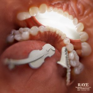 'RAYE, 070 Shake' için resim