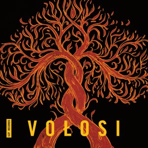 Image for 'Vołosi'