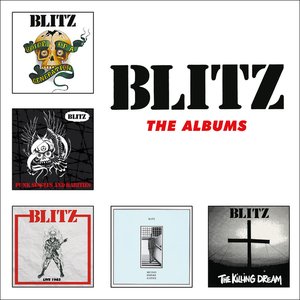Image for 'The Albums'