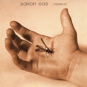 Изображение для 'Fragile'