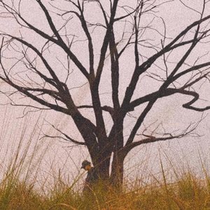 'goodbye, fawn' için resim