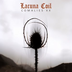 Image for 'Comalies XX'