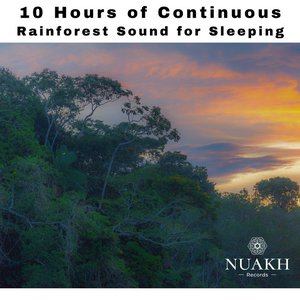 Image for '10 Hours of Continuous Rainforest Sound for Sleeping'