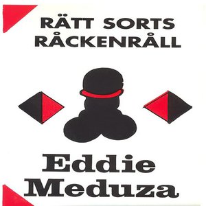Image for 'Rätt Sorts Råckenråll'
