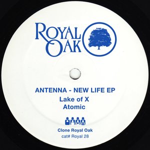 Image for 'New Life EP'