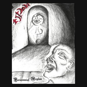 Image for 'Parasomnial Asylum'