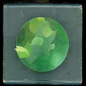 Image for 'Mosaics Within Mosaics'