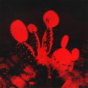 Image for 'Melt'd (deluxe)'