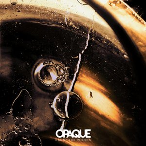 Image pour 'Opaque'