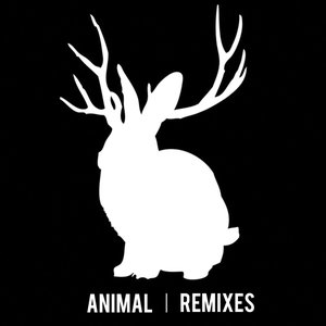 Image for 'Animal (Remixes)'