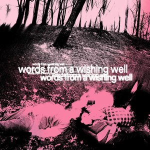 Image for 'words from a wishing well (Deluxe Edition)'