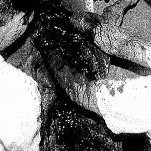 'Post Mortem Convulsion' için resim