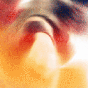 Image for 'jxnesdeath'
