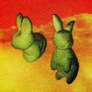 Image for 'GRASS BUNNIES'