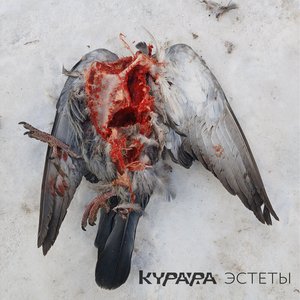 Image for 'Эстеты [Explicit]'