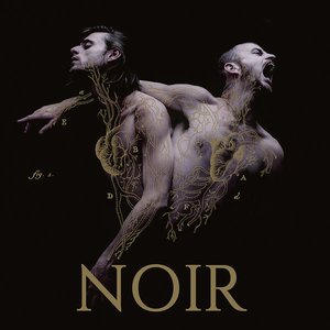 Immagine per 'Noir'