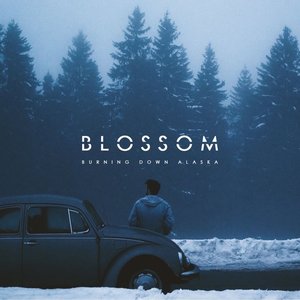 Изображение для 'Blossom'