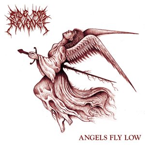 Image for 'Angels Fly Low'