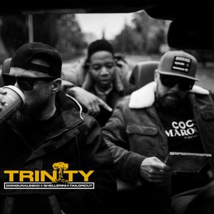 Image for 'TRINITY'