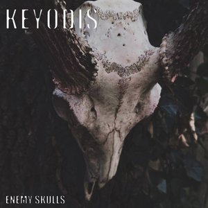 Изображение для 'Enemy Skulls'