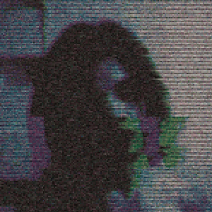DJ-Lycanthropus