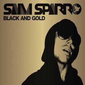 Bild für 'Black & Gold'