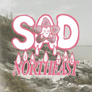 Image for 'Sad in the Northeast'