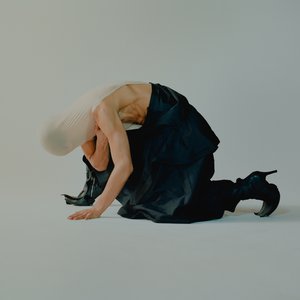 Image for 'Arca'