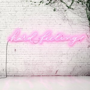 Image for 'Hard Feelings'