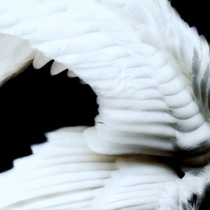 'Başka Bir Hayat Mümkün'の画像