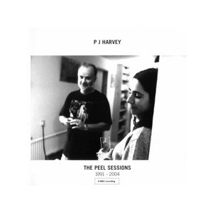 Image for 'The Peel Sessions 1991 - 2004'