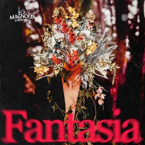 Image for 'Fantasia'