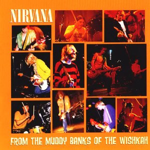 Image for 'From The Muddy Banks Of The Wishkah [Live]'