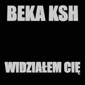 Image for 'Widziałem Cię'