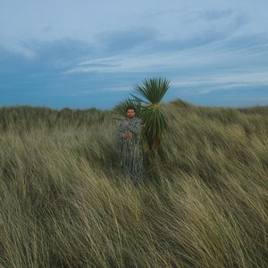 Image for 'The Tension Between'