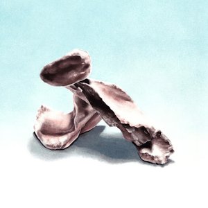 Image for 'Globster'