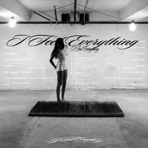 Image for 'i feel everything'